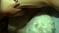 Preview of the Reality of My Swing Kink and Fetish Lifestyle