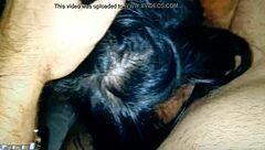 Passionate MILF Brunette Gives Intense Blowjob.