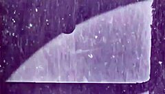 The Dragonfly in Antique Vintage Retro Setting