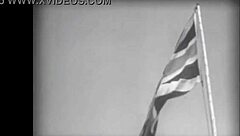 The Dragonfly in Antique Vintage Retro Setting