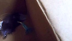 Busty Stepmom Ashley Adams Takes It In The Ass