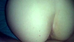 alana pearl gives a blowjob to shark