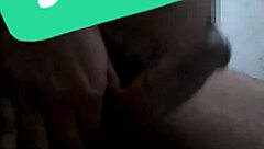 São Paulino Gostoso Sucking And Fucking Transsexual Cock