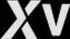 dumb bitch from the hood