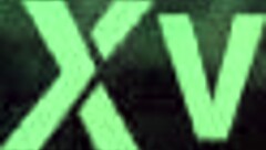 dumb bitch from the hood