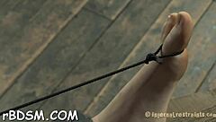 Engaging Brunette Girl Plays With Dildos In BDSM Slave Scenario