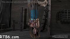 want to see free sadomasochism sex videos?