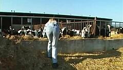 Farm girls enjoy outdoor car adventures with blonde and brunette european spanish friends