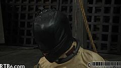 cruel punishment for beautys twat in brutal scene