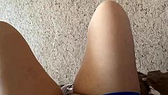 Affectionate Cat Plays After School