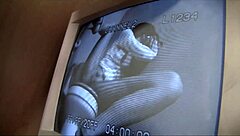 Lyla storm deepthroats cock in gloryhole interracial session