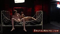 Felicity Feline and youthful tourists in chair bondage, nude and excited