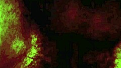 Intense rope bondage in vintage London shadows