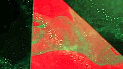 salomé gil, a latina, gets intimate with her boyfriend