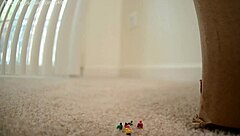 Where are the movers?