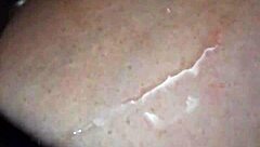 Hotty wild cat Rita playfully interacts with a watermelon