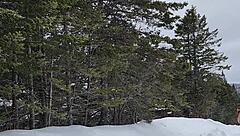 Explore your fetish in the great outdoors with naked in the snow
