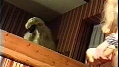 Does Hardcore Vintage Sex Feel Hot?