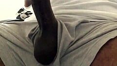 Office ebony solo session with swallow