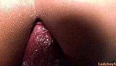 Ladyboy Phatida fucked bareback