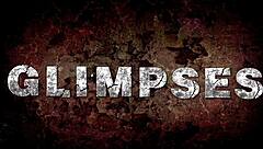 this vintage glimpse presents an english gentleman's 19th century diaries