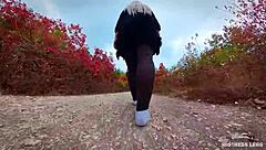 follow my footsteps in the evening lonely forest