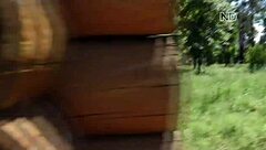 A Simple Pleasantry Exchange