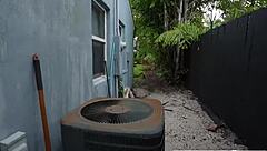 Ebony Brunette Rides Big Ass Cowgirl For Cumshot Facial