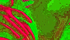 Sweet Marta Fingers Oiled Pussy