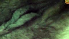 Vietnamese amateur shares spicy web chat before bedroom action