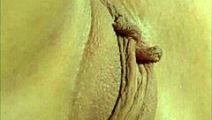 Finger Licking Babes Can't Hold Back Cum!