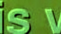 Japanese Latina Misty Summers shows pussy in close-up.