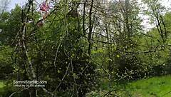 Stealing Her Thong Bikini On Beach