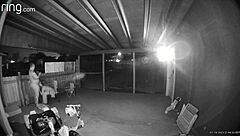 Wife Sucks And Fucks On Ring Camera Outdoors