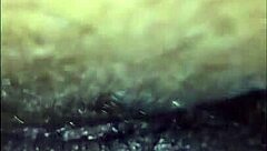 how to suck dick properly