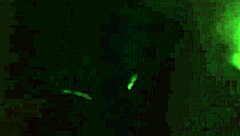 Rica Y Caliente Verga with Natural Tits in Detailed Scene