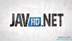 In this compilation, japanese models show off their hairy pussies.