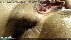 Adriana Chechik Squirt During Intense Whore Session