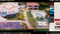 Sensual brunette and Latina beauties in alluring lingerie