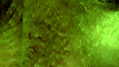 Can you handle this big cock?