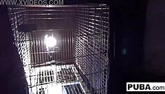Dani Daniels says, I'm trapped in this dog cage, masturbating my big tits and pussy.