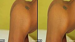 3d sbs javhd69 com playboyplus 11 20 mashup exotic beauties vol 5