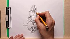 pencil drawing of a sexy girl in panties