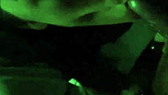 Sexy skirt flashing before blowjob