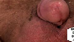 small cock santa gets jerked by busty babes in christmas 3some