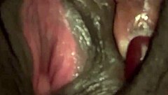 Pretty pink pussy in close up view