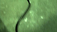 Using my fucking machine for face fuck training