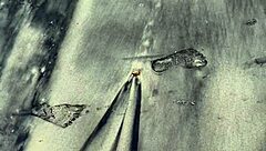 Does this redhead latina handle two cocks on the nudist beach?