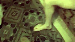 I had a quick fuck with my brother