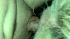Young milf gives amateur blowjob to big cock